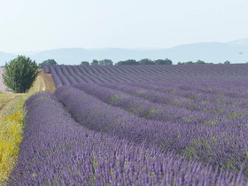 L'Atelier
