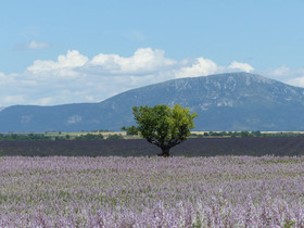L'Atelier