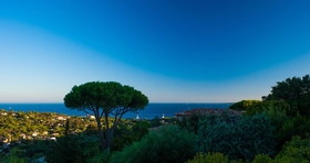 Lord of Sainte Maxime