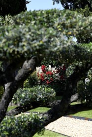 La Bastide Des Demoiselles