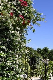 La Bastide Des Demoiselles