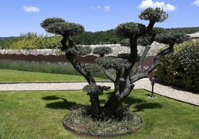 La Bastide Des Demoiselles