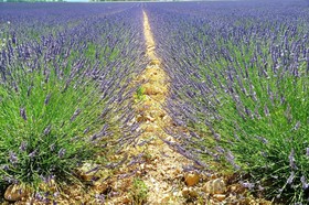 Le Clos Geraldy