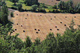 Domaine Des Gendalis
