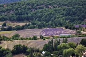 Domaine Des Gendalis