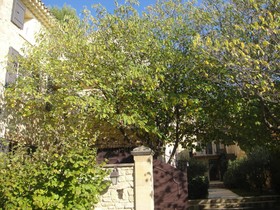 Le Bercail