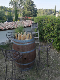 Les Mûriers D'engaspaty