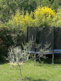Les Mûriers D'engaspaty