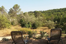Les Mûriers D'engaspaty