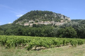 Domaine de Cabasse