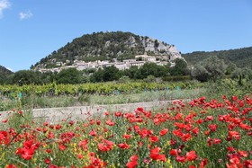 Domaine de Cabasse