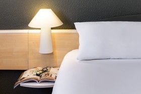 ibis Sisteron