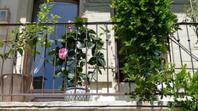 La Maison D'Isidore