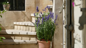 La Maison D'Isidore