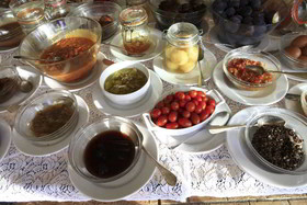 Le Mas des Figues