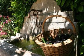Sous les Figuiers