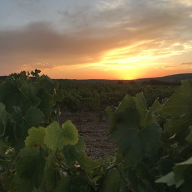 Mas de l'Acacia