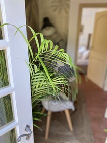 L'effrontee