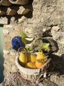 L'effrontee