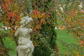 La Bastide D'Iris