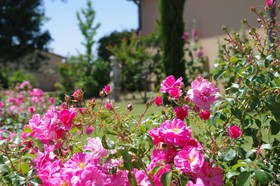 La Bastide D'Iris