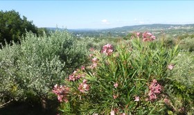 Gite Lavande