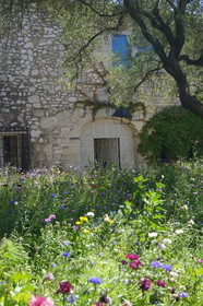 Maison Orsini