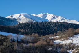 Vie D'estive