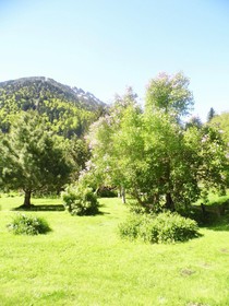 Gîte Auberge des Cascades