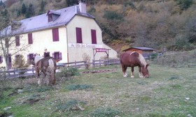 Gîte Auberge des Cascades
