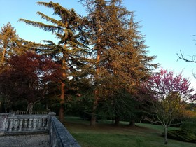 La Lezardiere