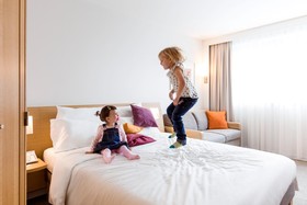Novotel Pau Pyrenees