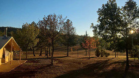 Domaine De La Salvage