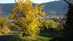 Gite De Solanes