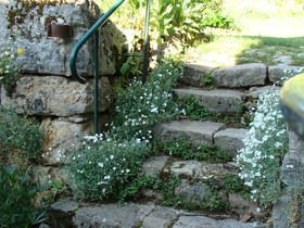 Gite De Solanes