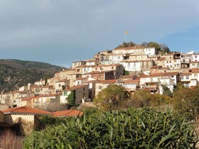 Le Figuier