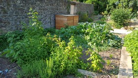 Le Clos De L'Oiselon