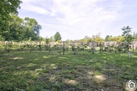 Le Clos De L'Oiselon