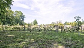 Le Clos De L'Oiselon