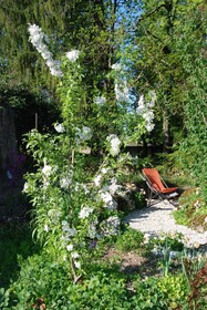 Le Clos De L'Oiselon