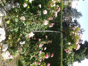 Citotel Le Logis de Brou