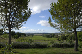 Domaine De Cousignac