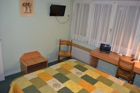 Hôtel Le Lyon Bron