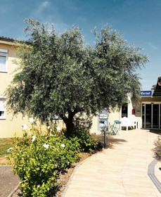 Kyriad Lyon Est - Bron Eurexpo Le Cottage