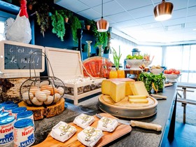 Novotel Lyon Bron Eurexpo