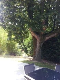 La Pietra