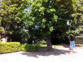 Hotel Etesia
