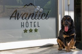 Avantici Citotel