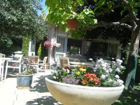 Avantici Citotel