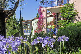 Les Cèdres